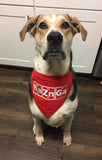 Bazinga Pet Bandanna