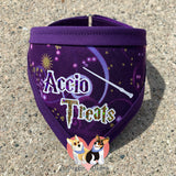 Accio Treats