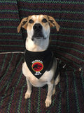 Jurassic Official Dig Crew Pet Bandanna