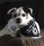 Lack Of Treats Disturbing