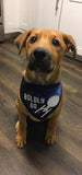 Boldly Go Pet Bandanna