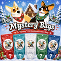Christmas/Winter Mystery Doggie Danna Bag