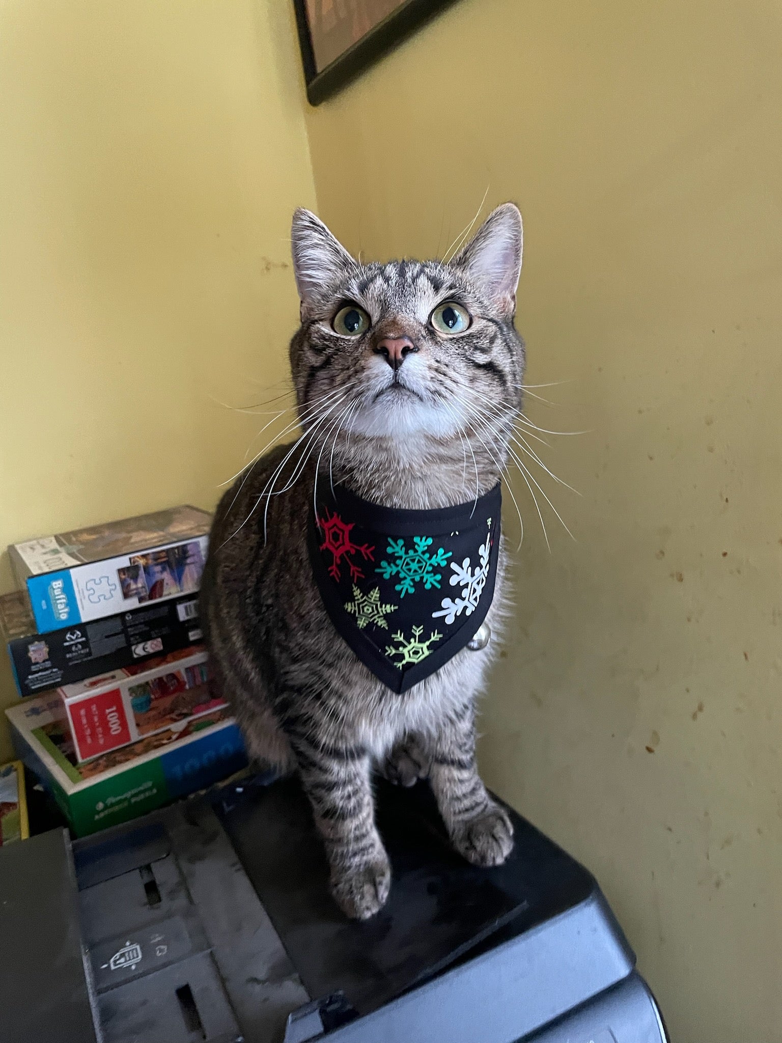 Snowflakes Fun Fabric Pet Bandanna