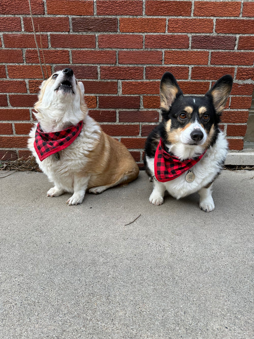 Buffalo Plaid Pet Bandanna