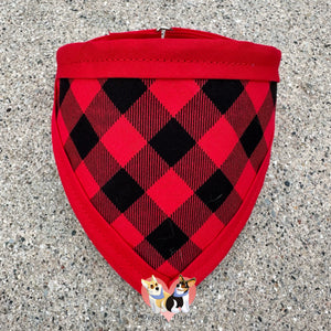 January 2024 Fun Fabric Pet (ban)Danna