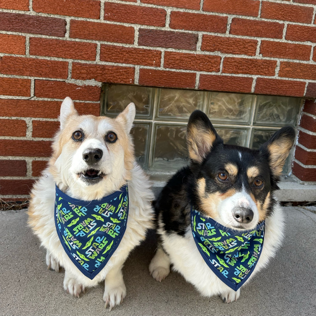Star Wars Pet Bandanna