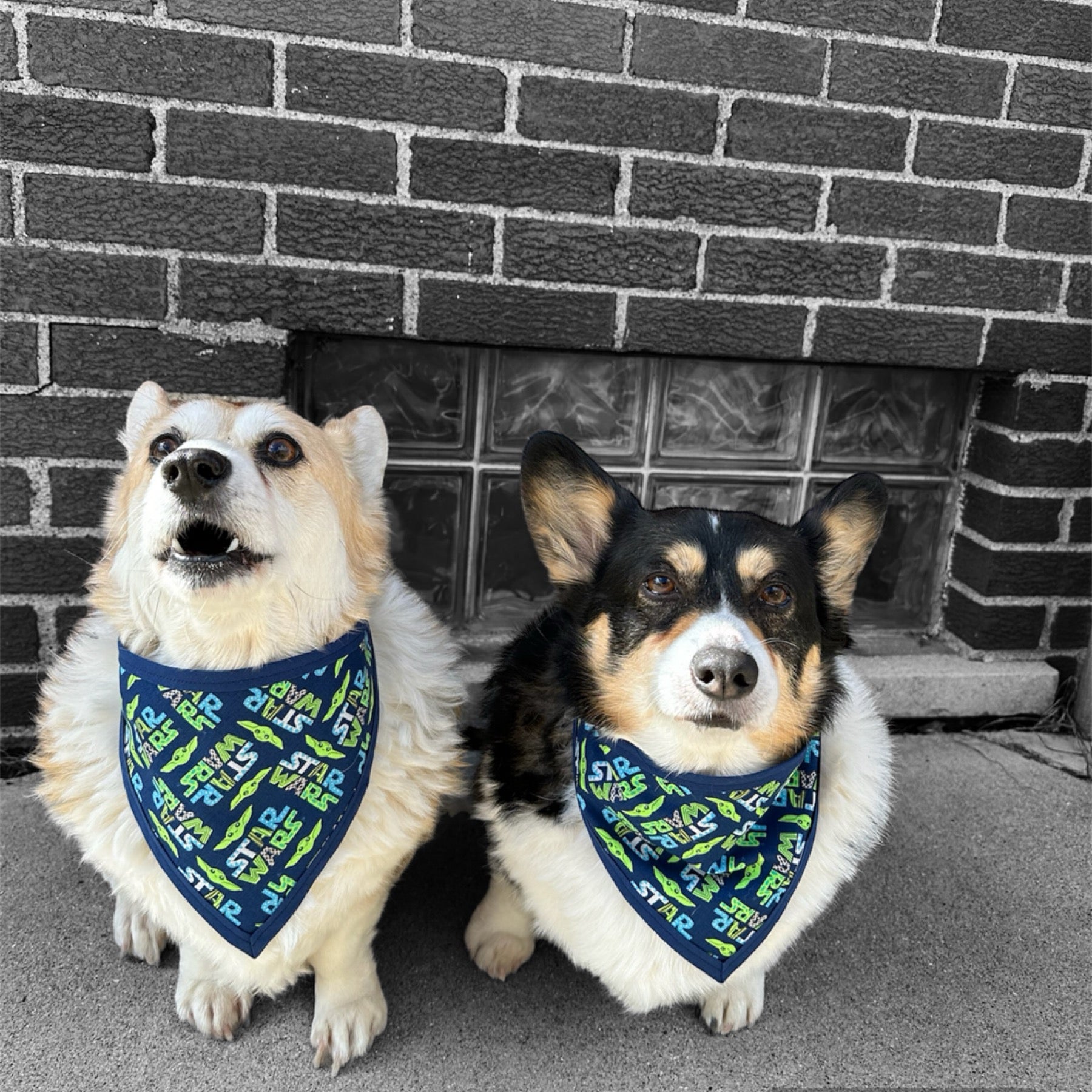 Star Wars Pet Bandanna