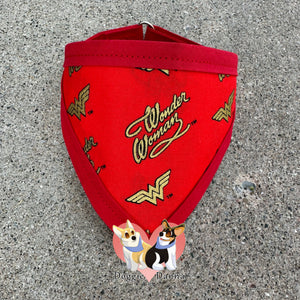 August 2025 Fun Fabric Pet Bandanna