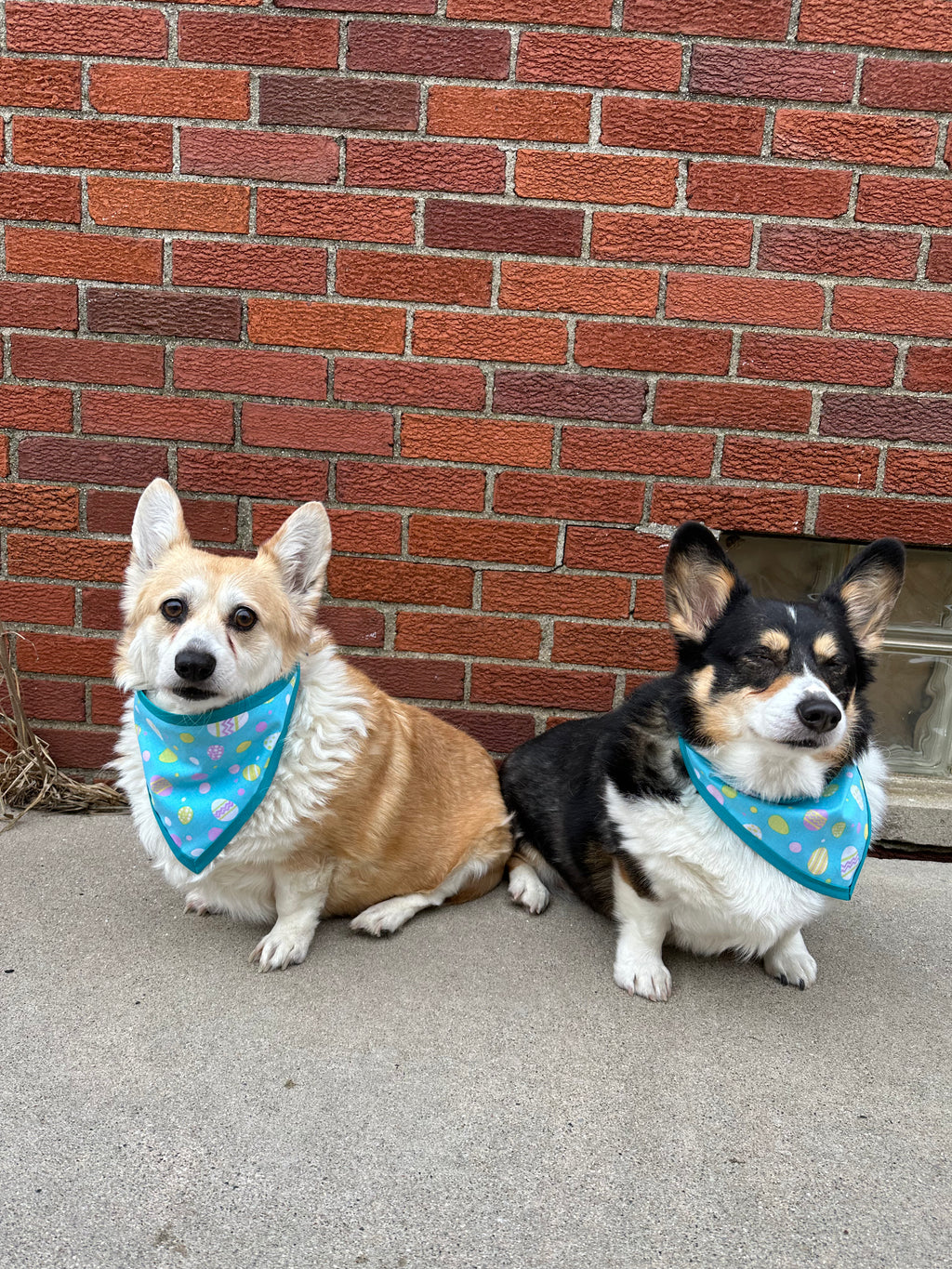Easter Eggs Fun Fabric Pet Bandana
