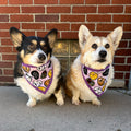 Star Wars Characters Pet Bandana