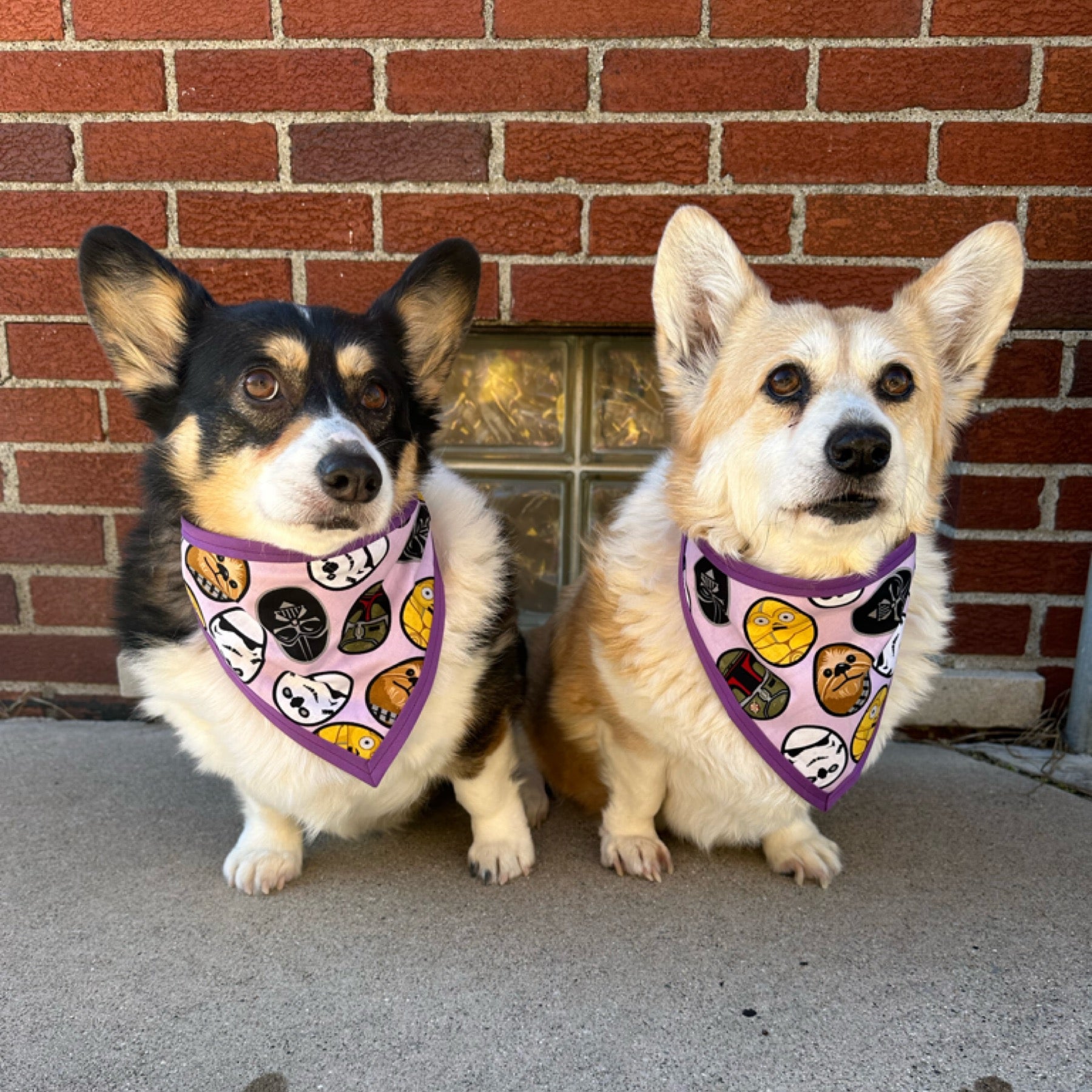 Star Wars Characters Pet Bandana