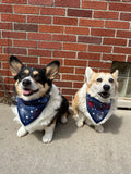 Fireworks Pet Bandannas