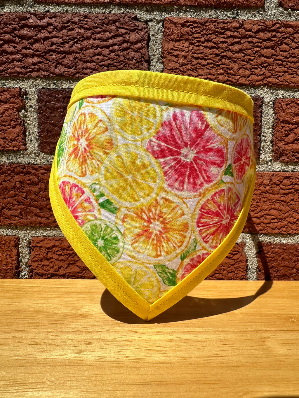 Citrus Pet Bandanna