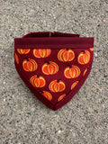 Pumpkins Pet Bandanna