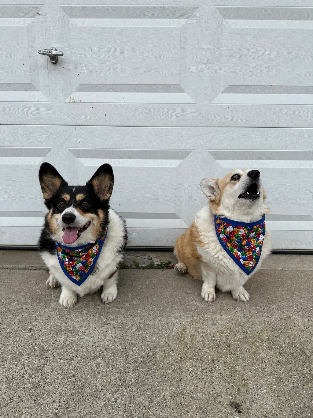 Packed Dice Pet Bandannas