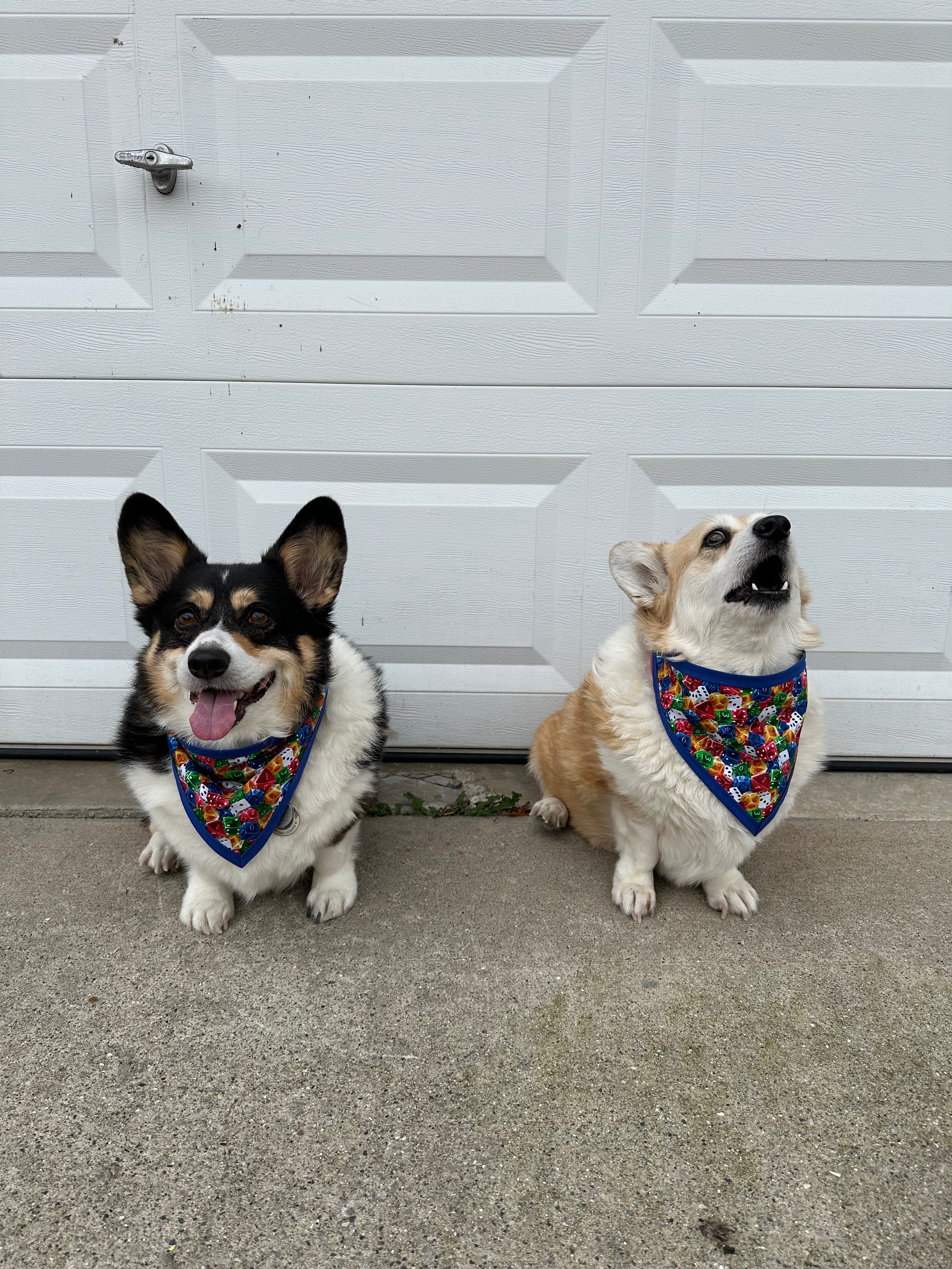 Packed Dice Pet Bandannas