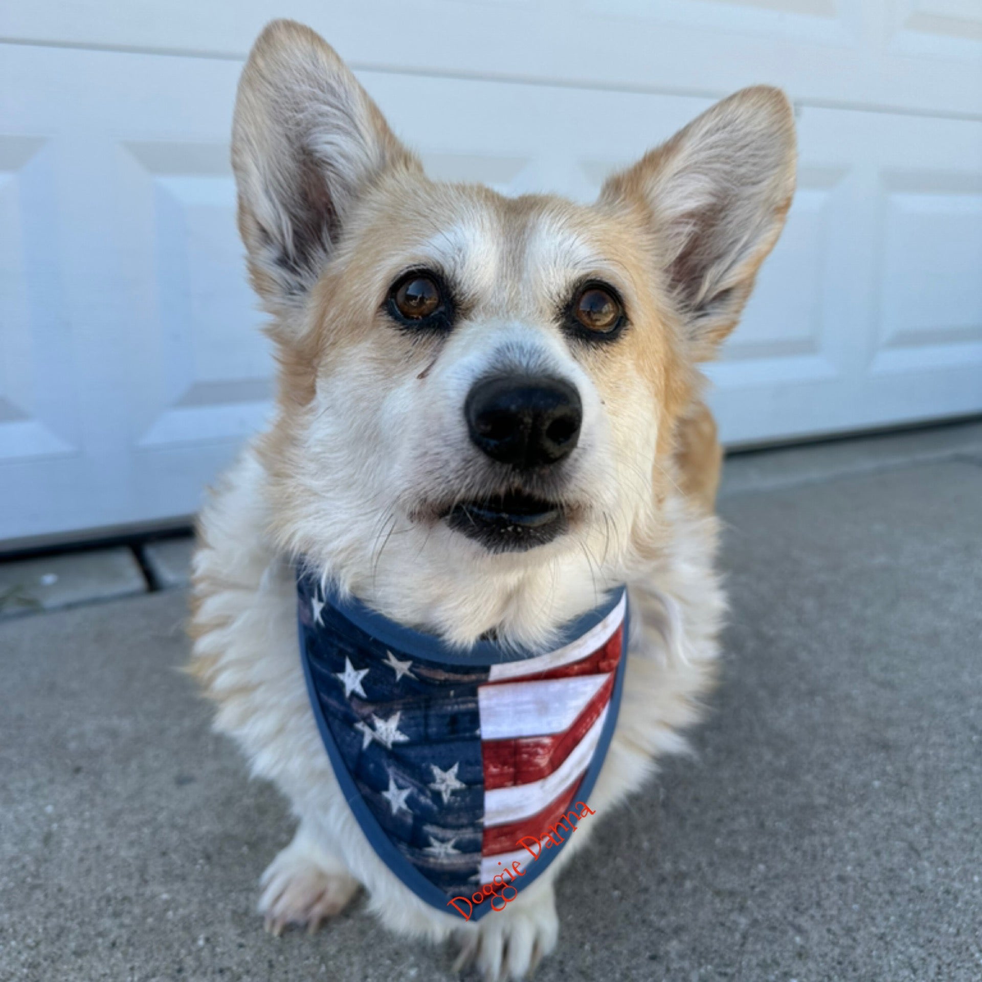 USA Flag Pet Bandanna