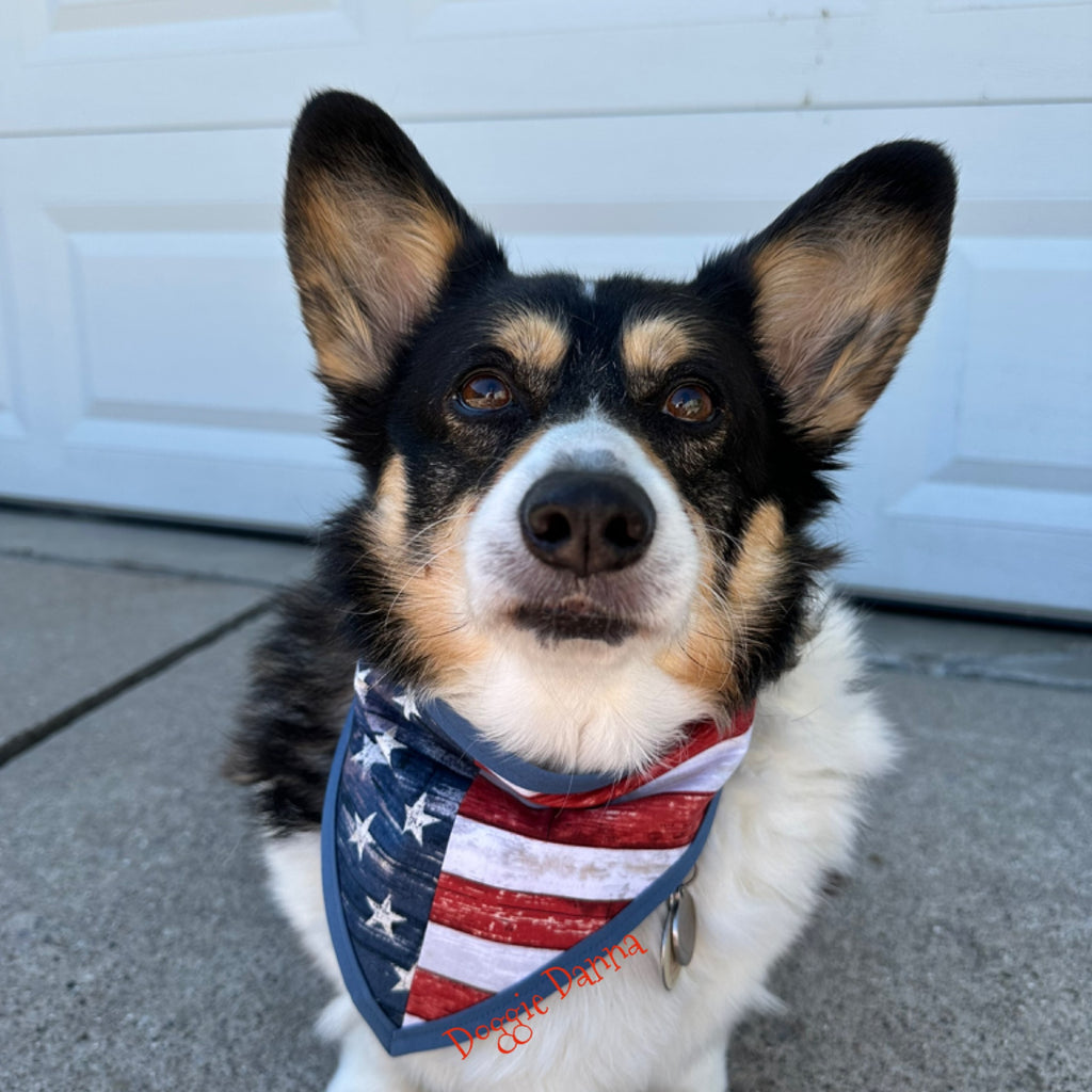 USA Flag Pet Bandanna