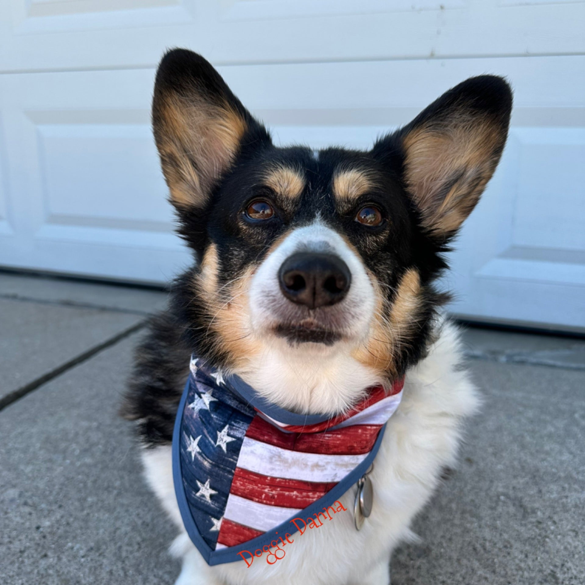 USA Flag Pet Bandanna