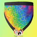 Rainbow Crackle Fun Fabric Pet Bandanna