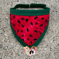 Watermelon Pet Bandanna