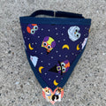 Halloween Owls Pet Bandanna