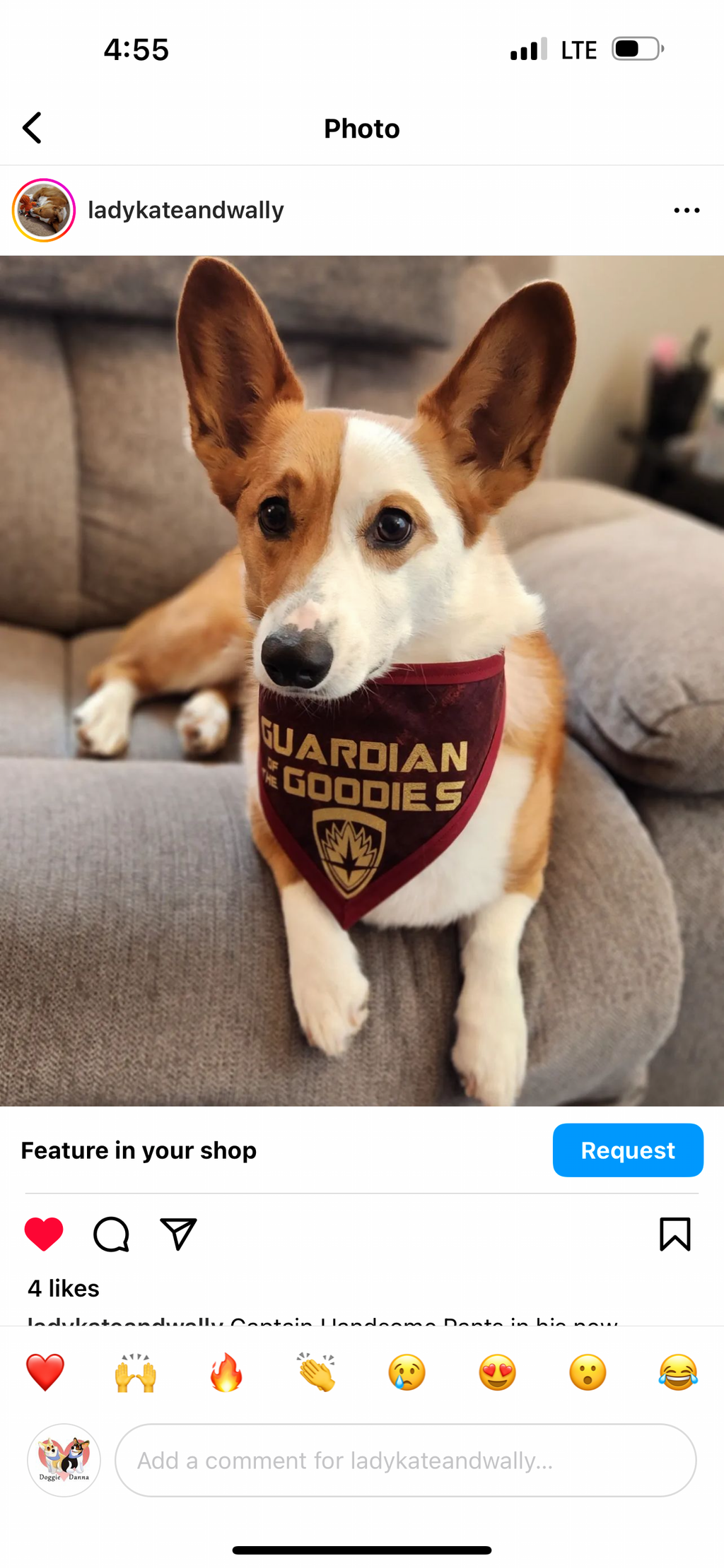 Guardian of the Goodies