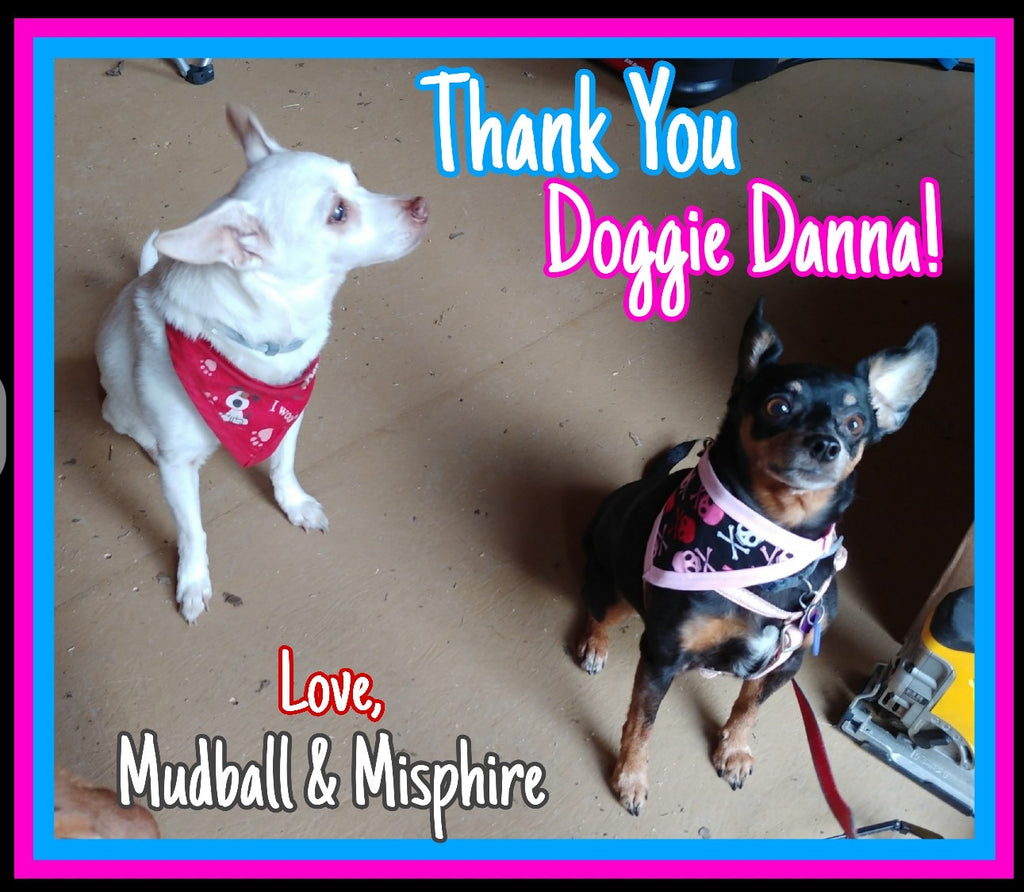I Woof You Pet Bandanna