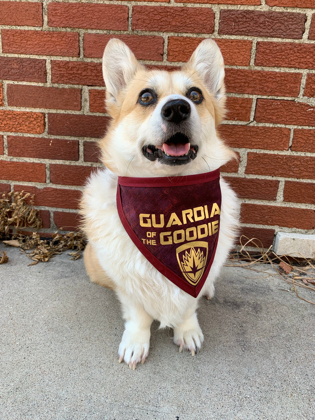 Guardian of the Goodies