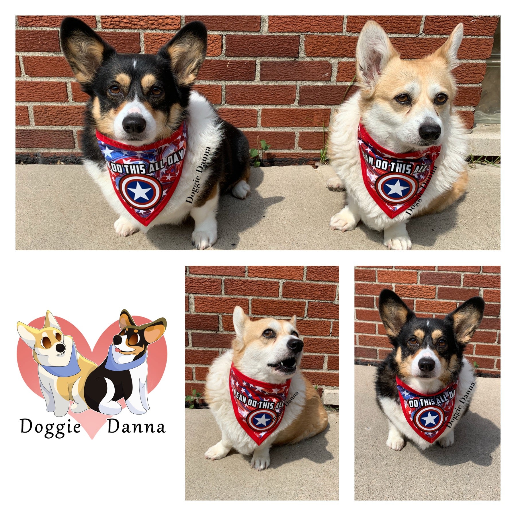 I Can Do This All Day Pet Bandanna