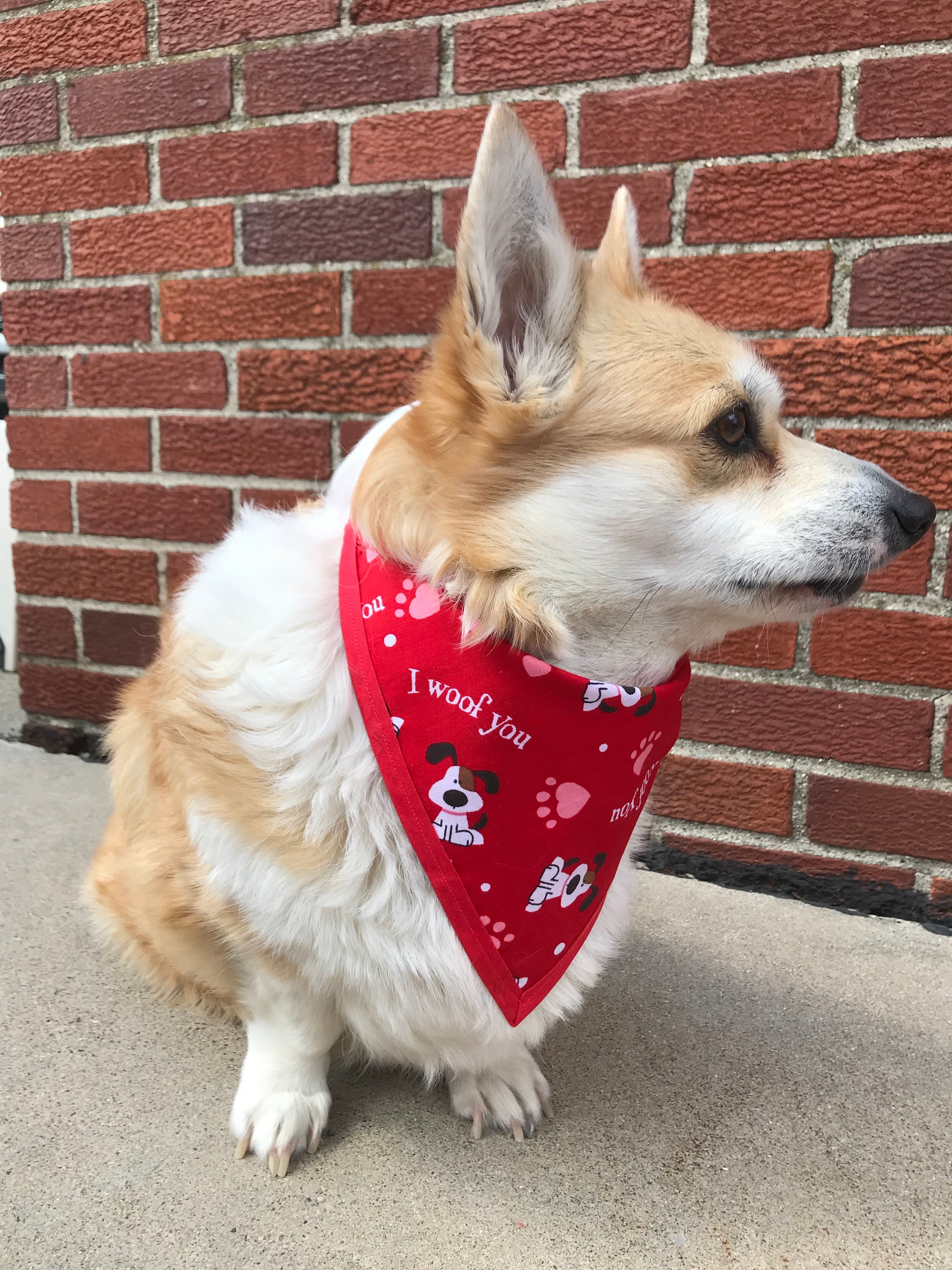 I Woof You Pet Bandanna