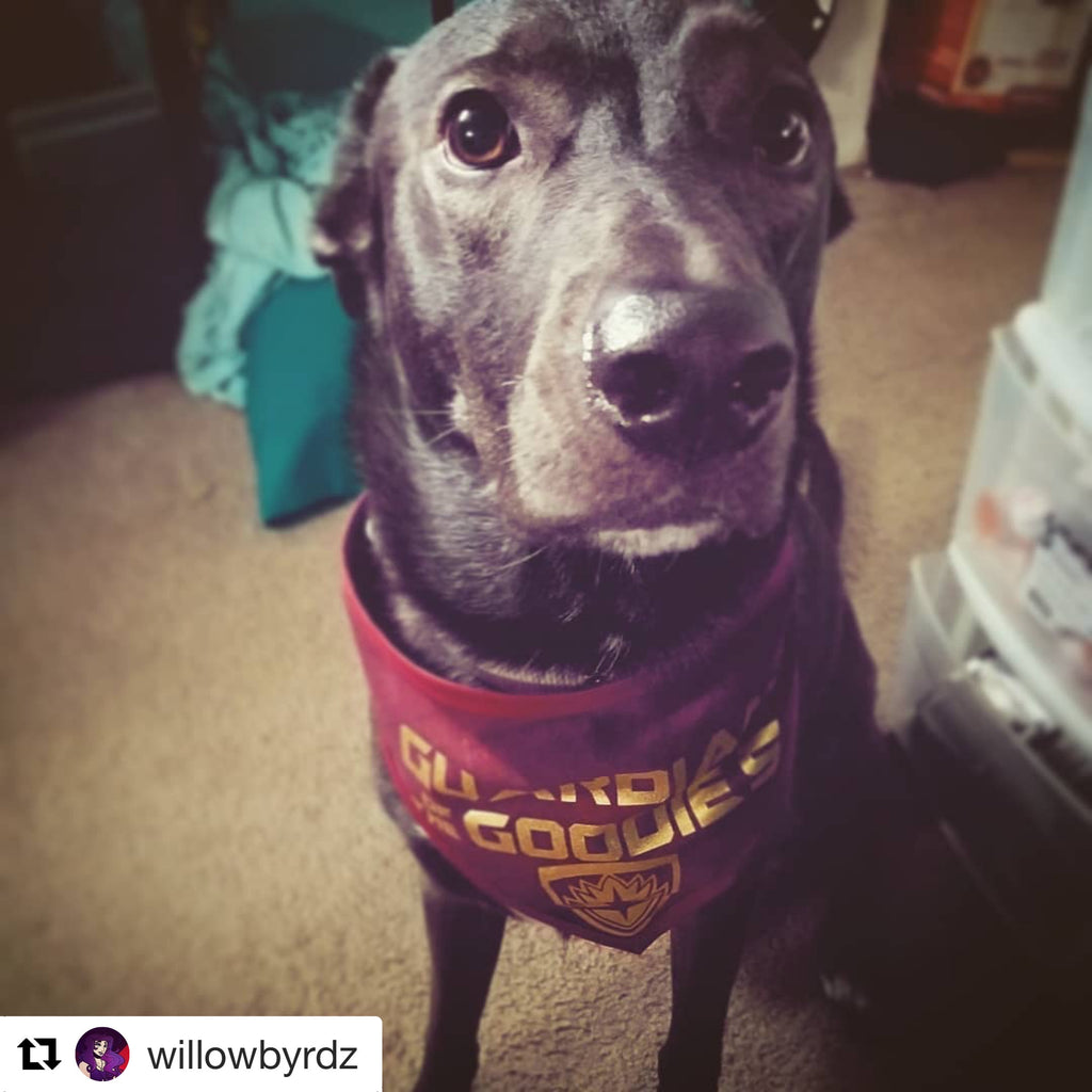 Guardian of the Goodies