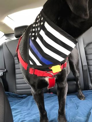 Thin Blue Line