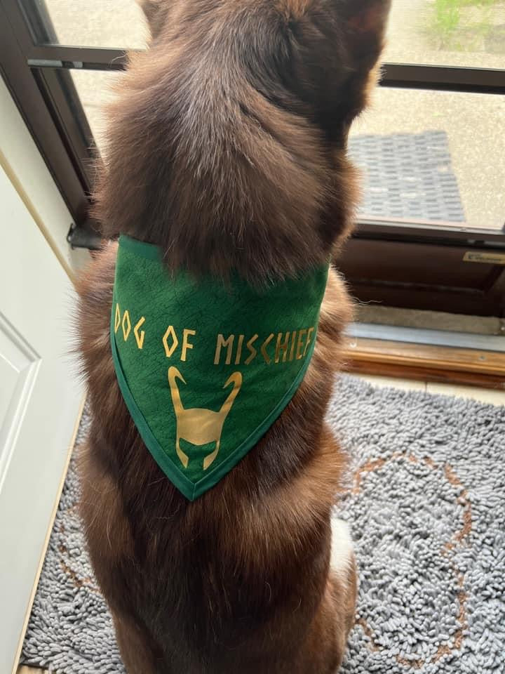 Dog of Mischief