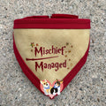 Mischief Managed