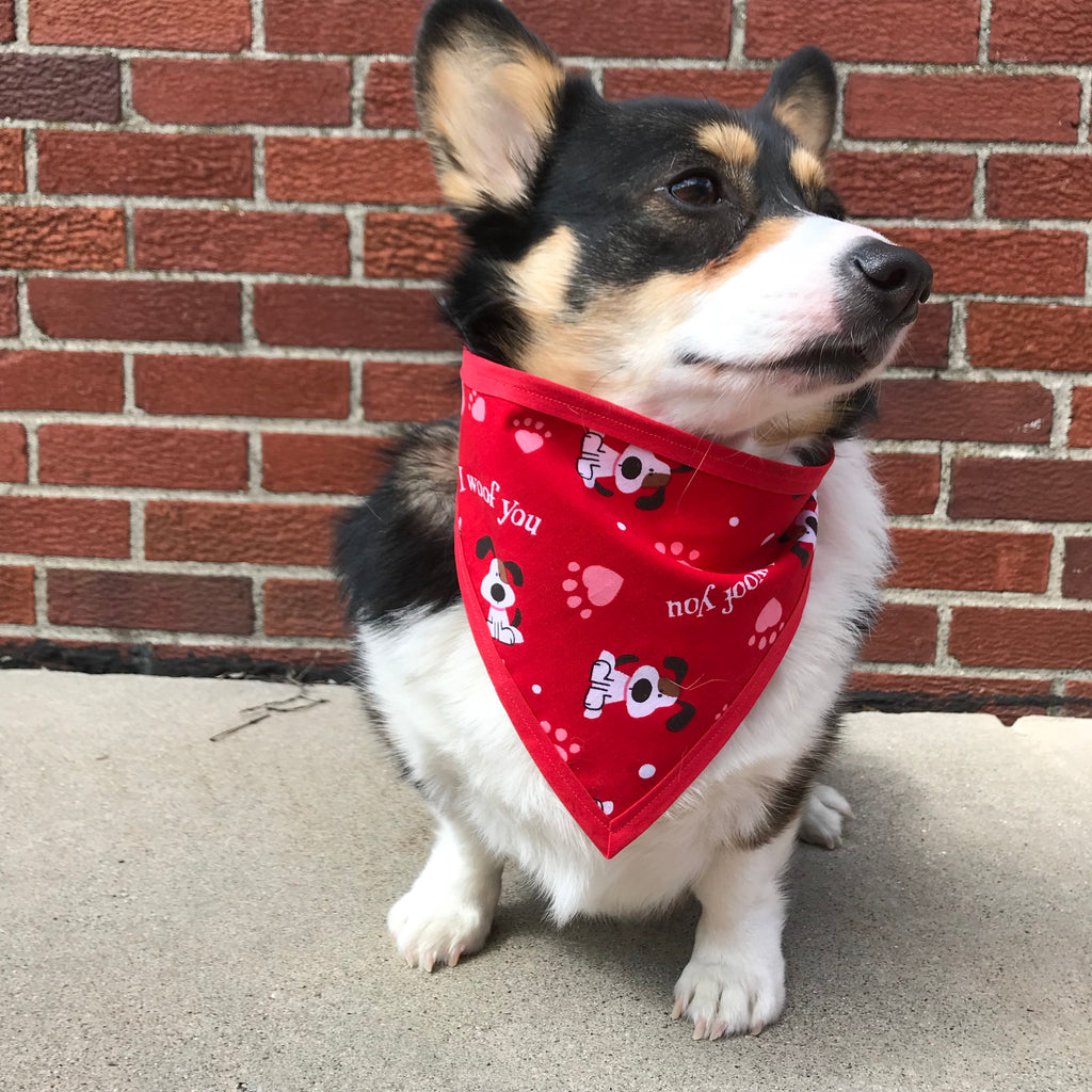 I Woof You Pet Bandanna