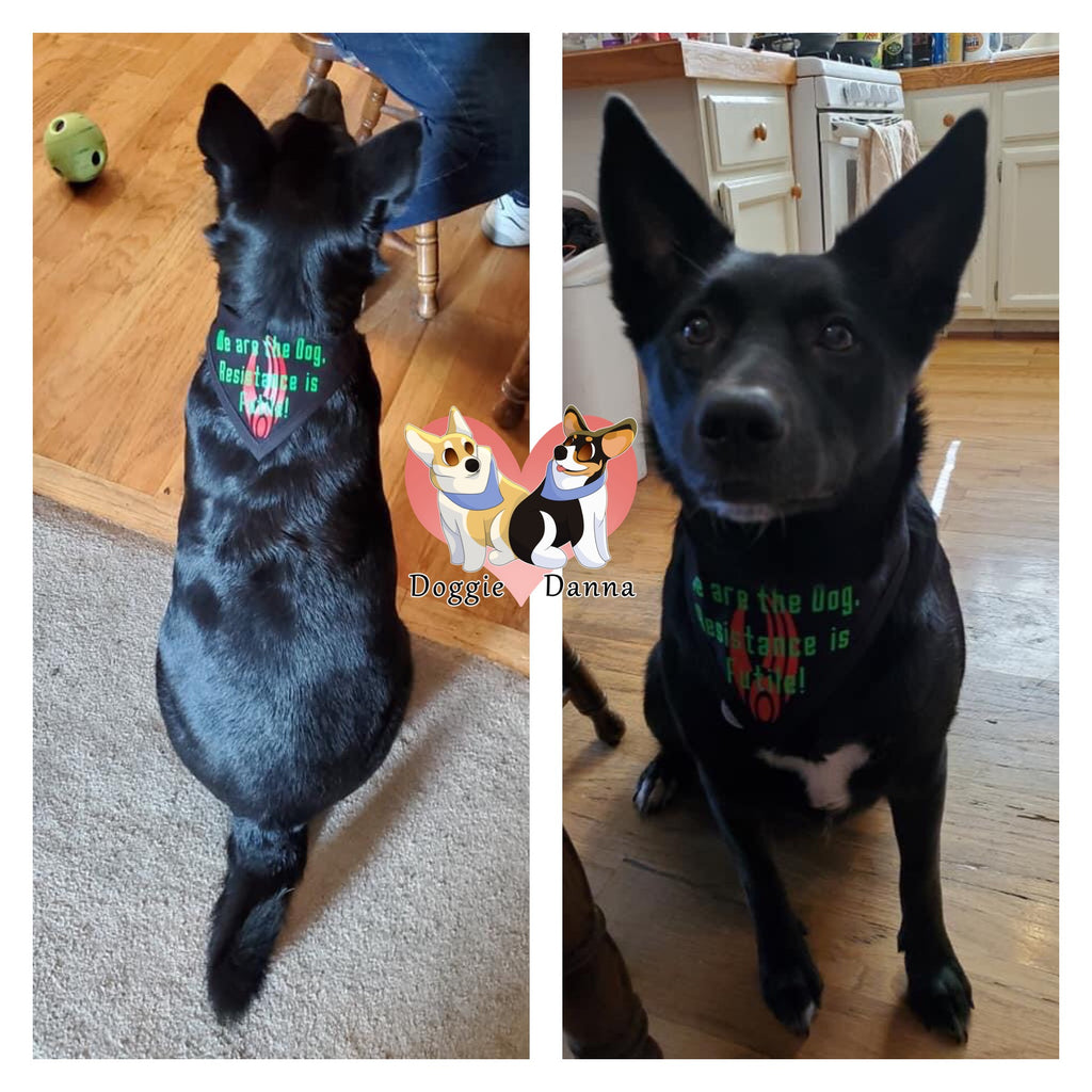 We Are The Dog