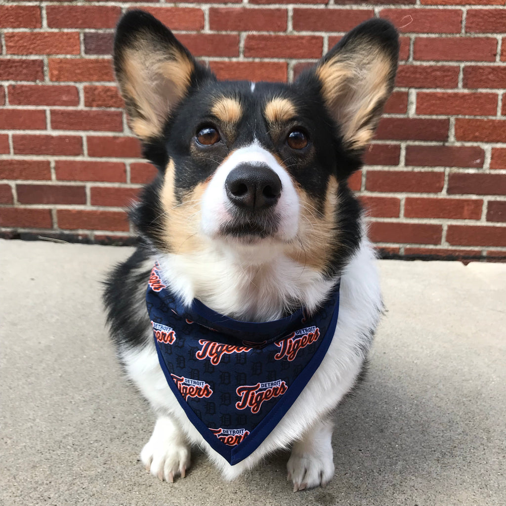 Detroit Tigers Pet Bandanna
