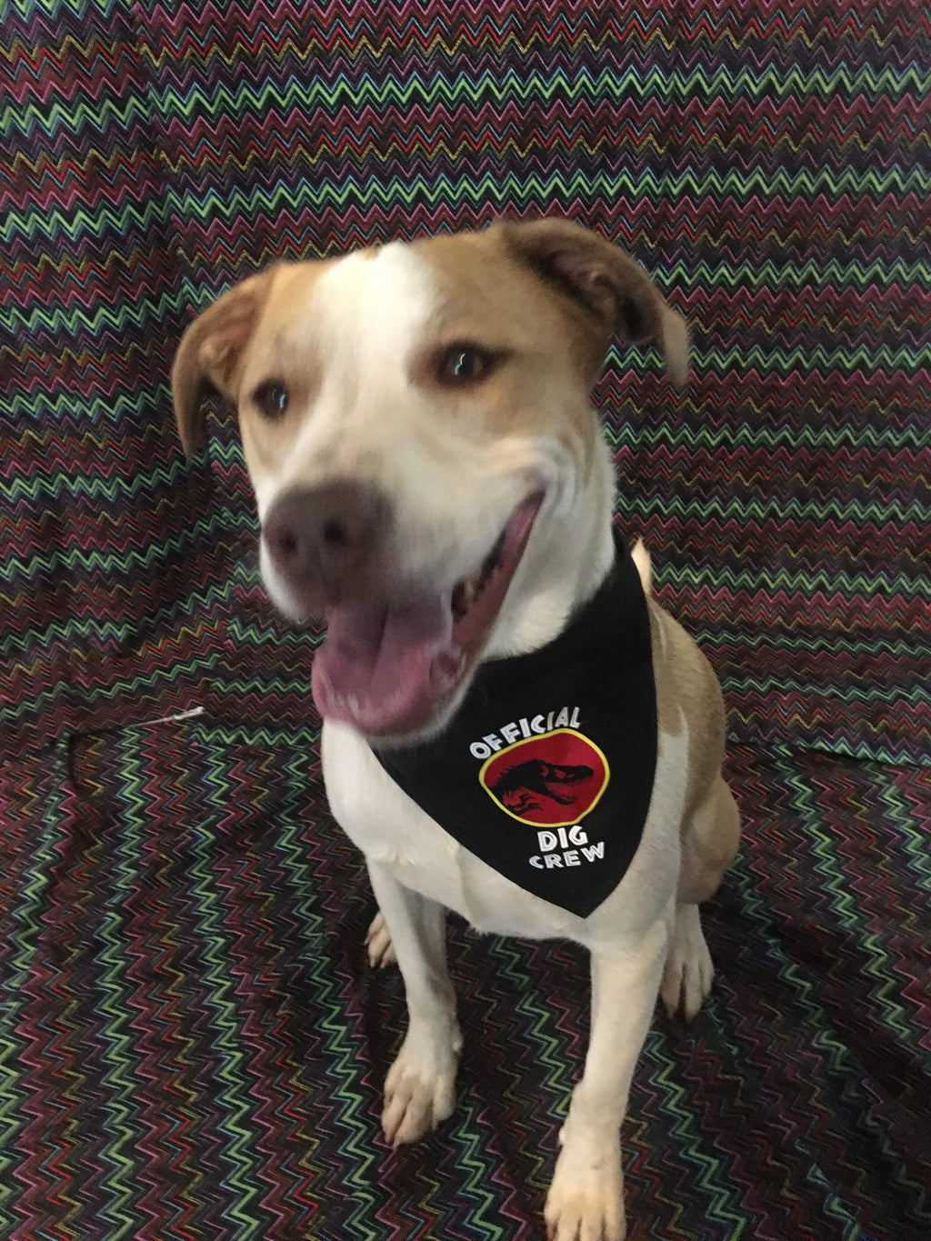 Jurassic Official Dig Crew Pet Bandanna
