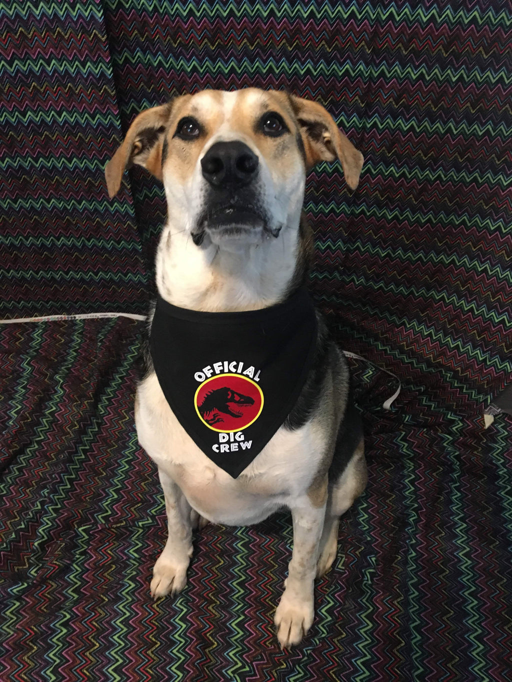 Jurassic Official Dig Crew Pet Bandanna