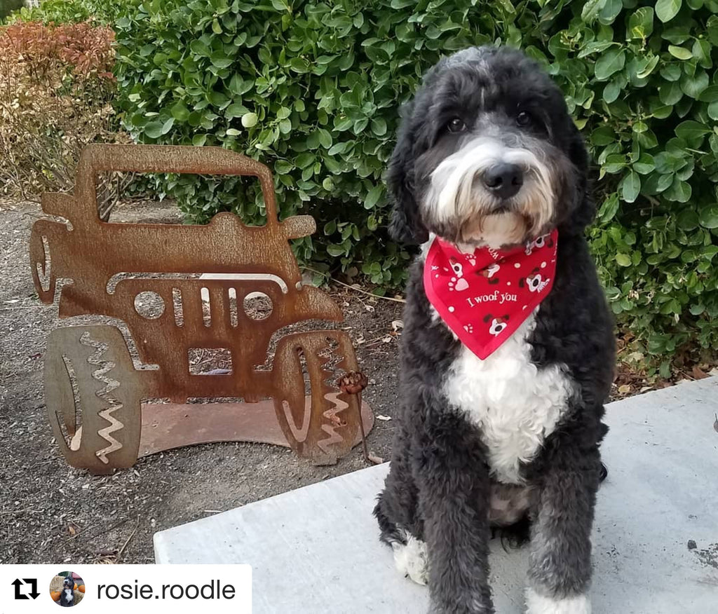 I Woof You Pet Bandanna