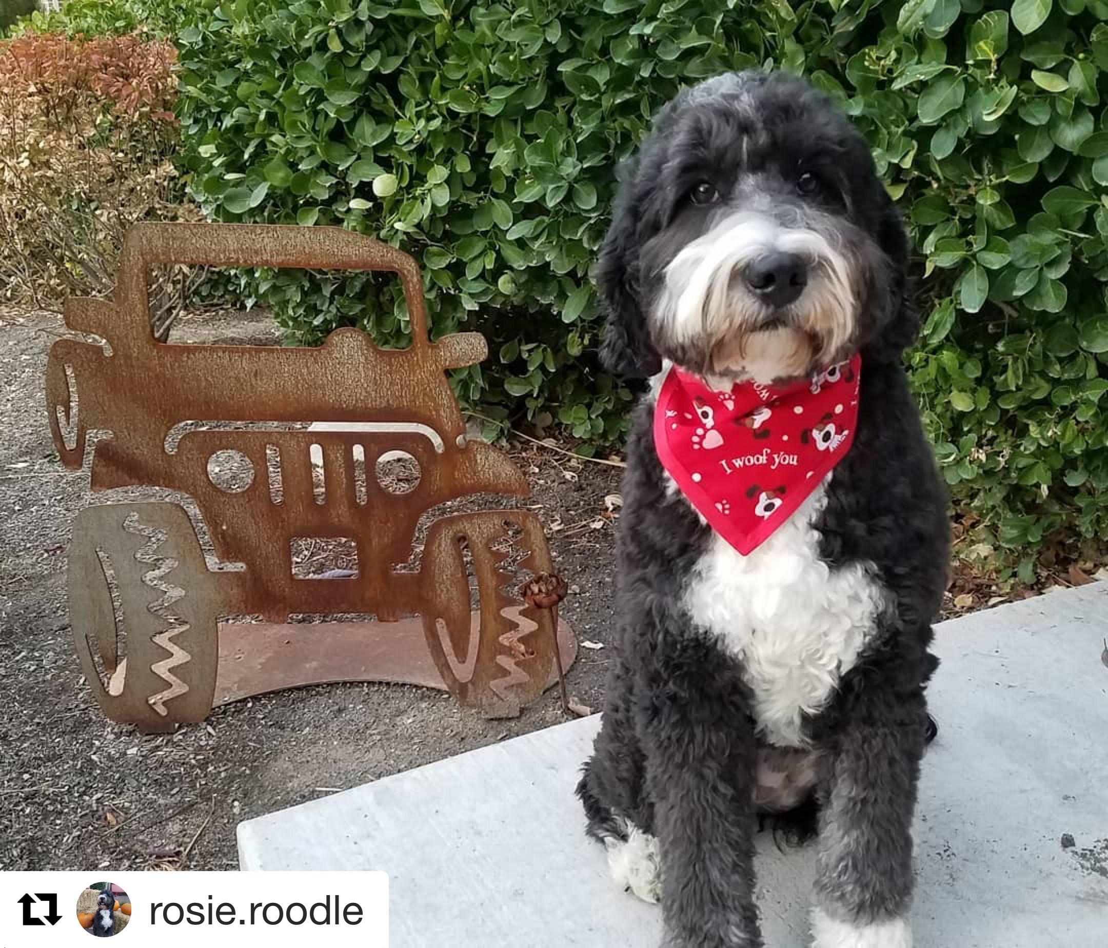 I Woof You Pet Bandanna