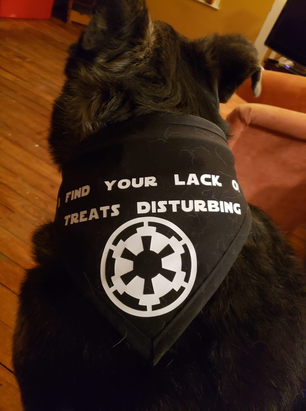 Lack Of Treats Disturbing