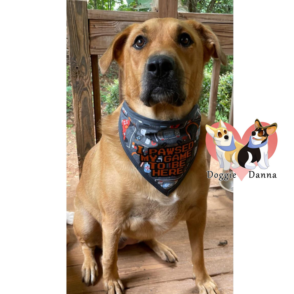 I Pawsed My Game Pet Bandanna
