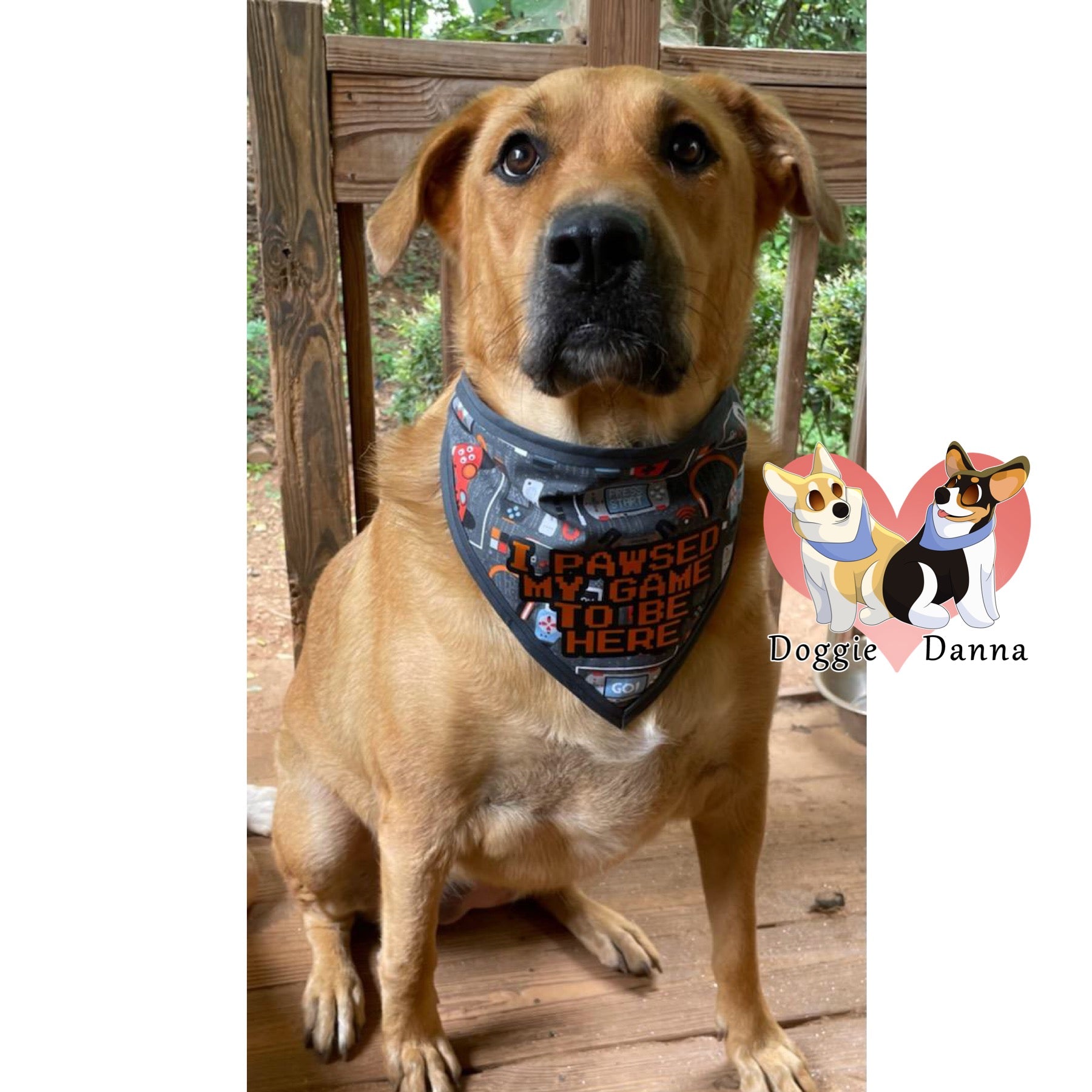 I Pawsed My Game Pet Bandanna