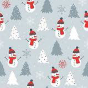Christmas/Winter Mystery Bag