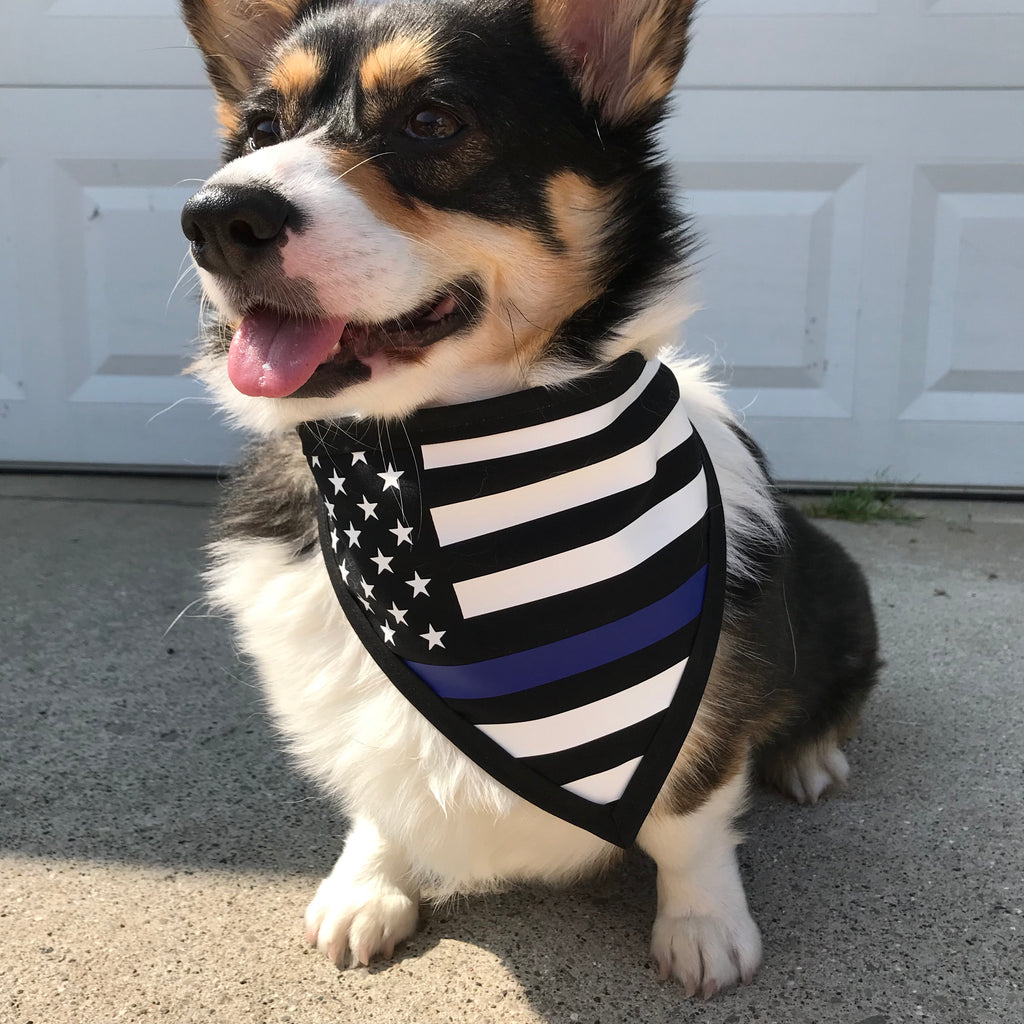Thin Blue Line