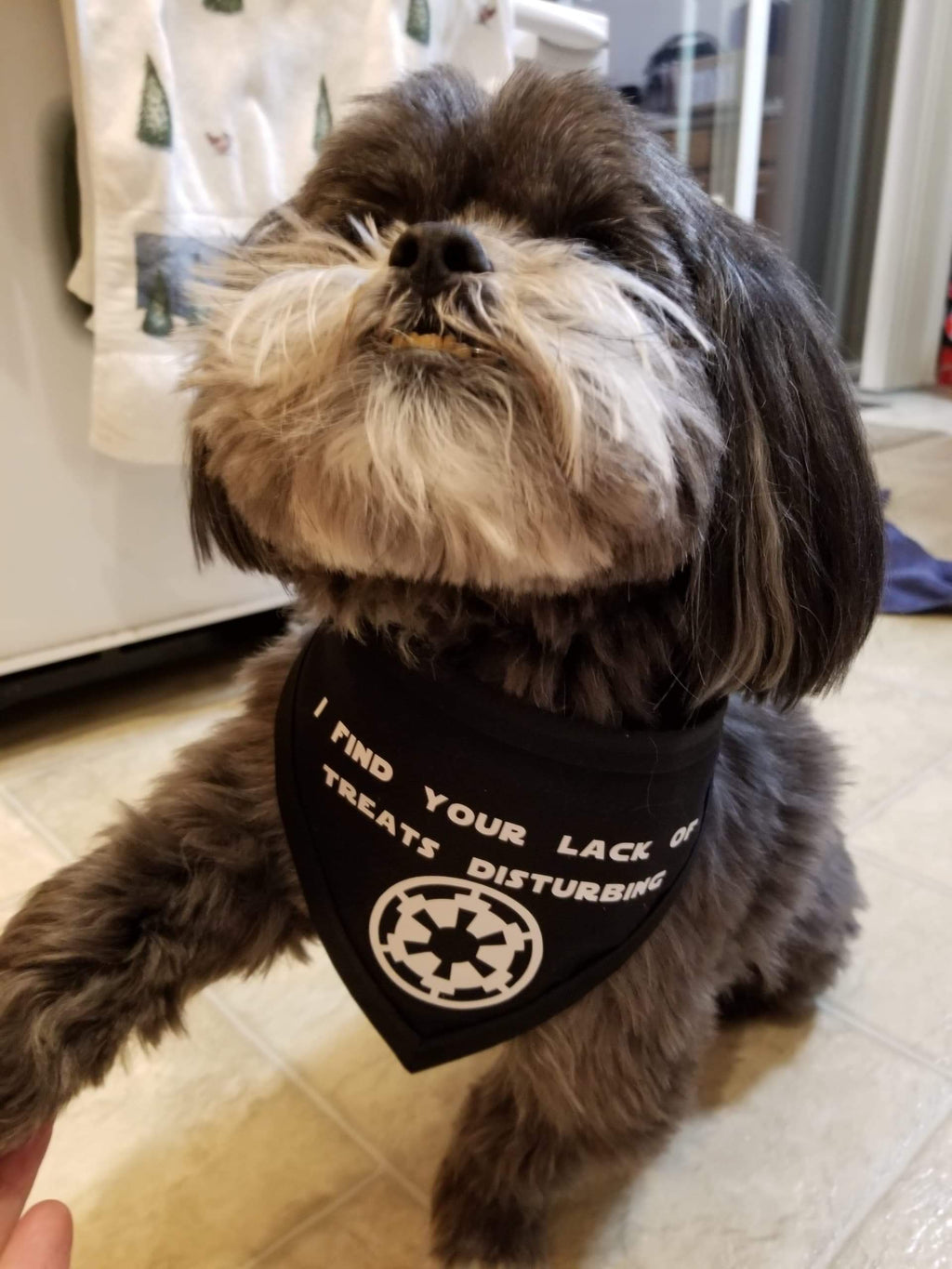 Lack Of Treats Disturbing
