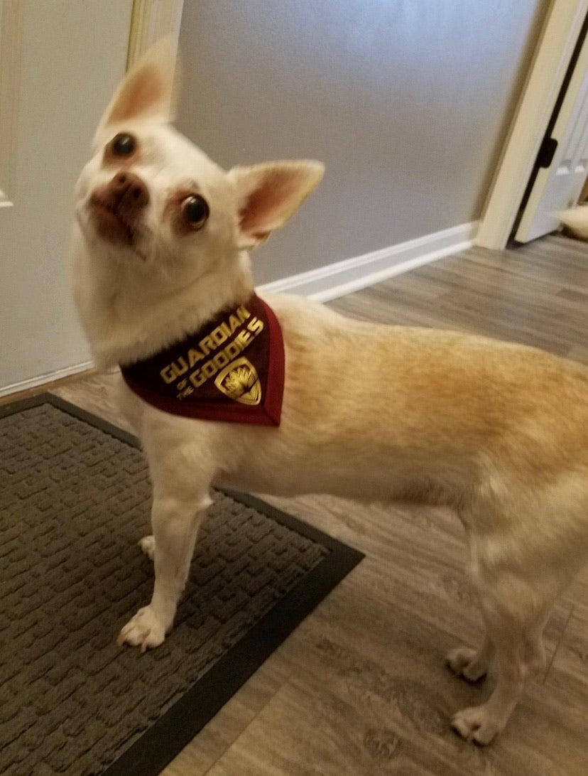 Guardian of the Goodies