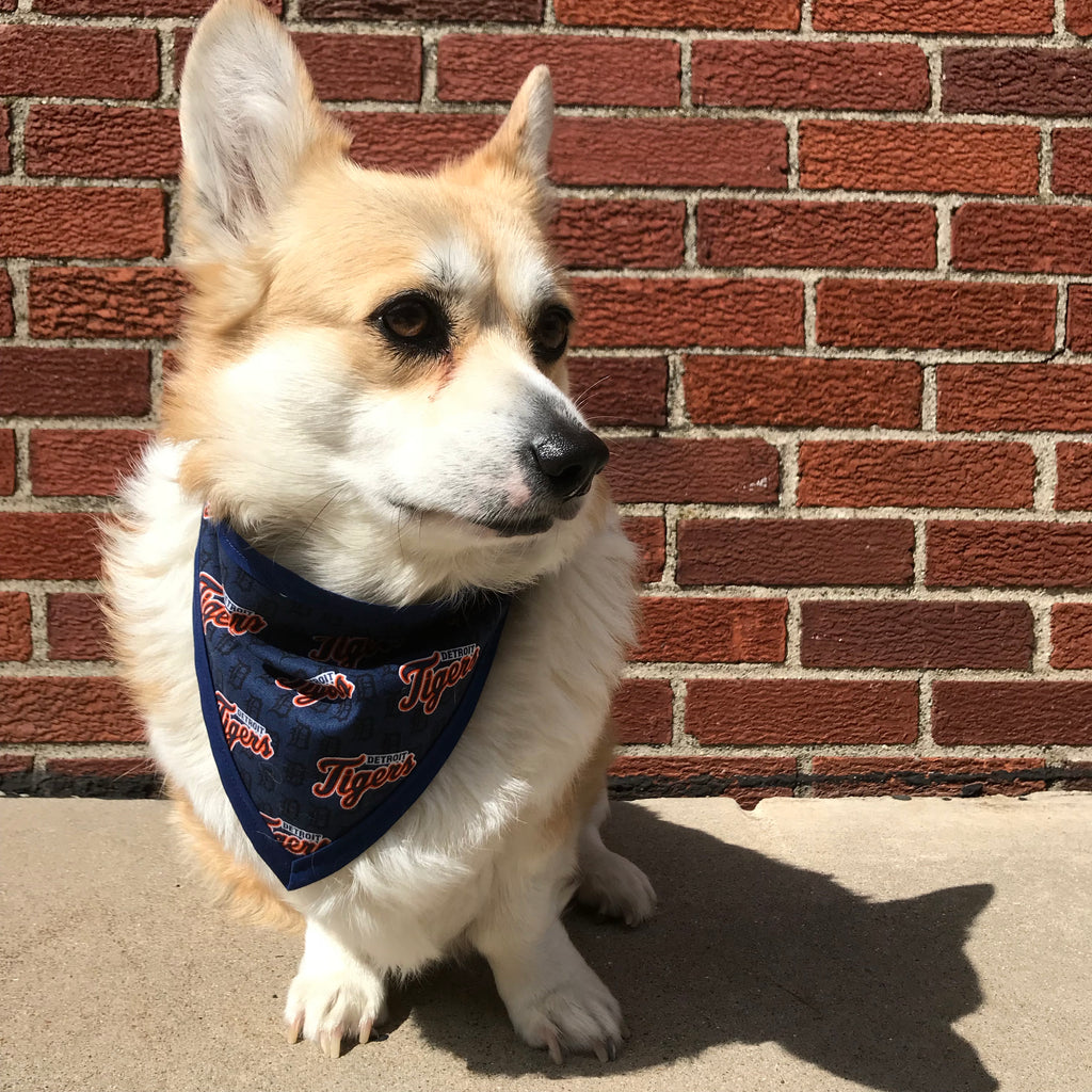 Detroit Tigers Pet Bandanna